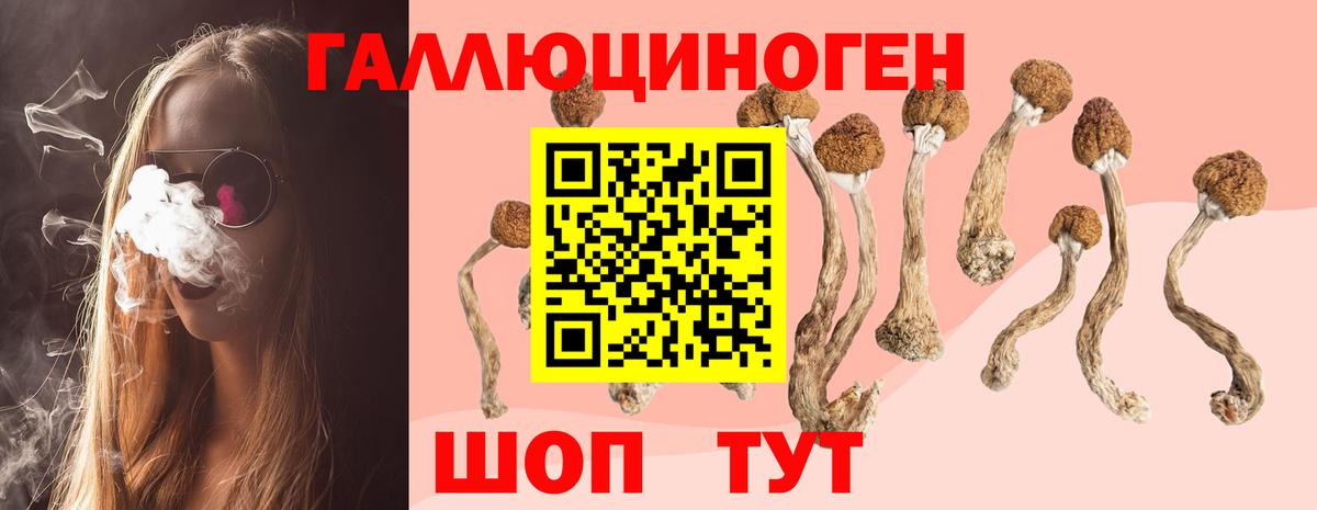 Псилоцибиновые грибы Psilocybine cubensis  Вход с VPN  Алатырь  Галлюциногенные грибы прущие грибы 
